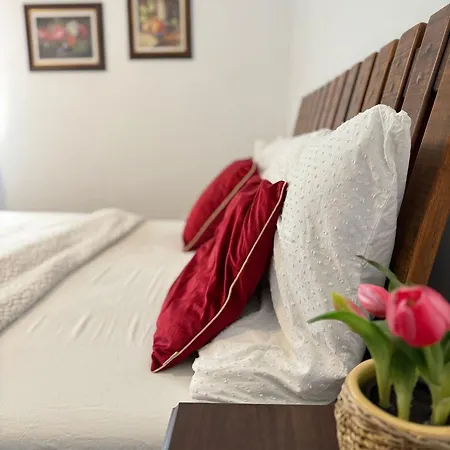 Duzy Apartament Parlinskie Wody